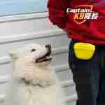 Dog Training Treat Pouch - Image 3