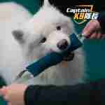 Double Handle Tug Toy for Dogs - Image 3