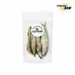 Raw Sardine Treats for Dogs