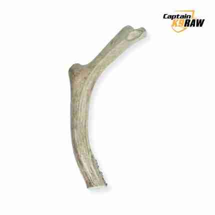 CaptainK9_Raw Dog Food_Treat_Antler XL