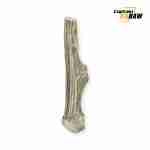 Natural Antler Chews for Dogs - Image 10