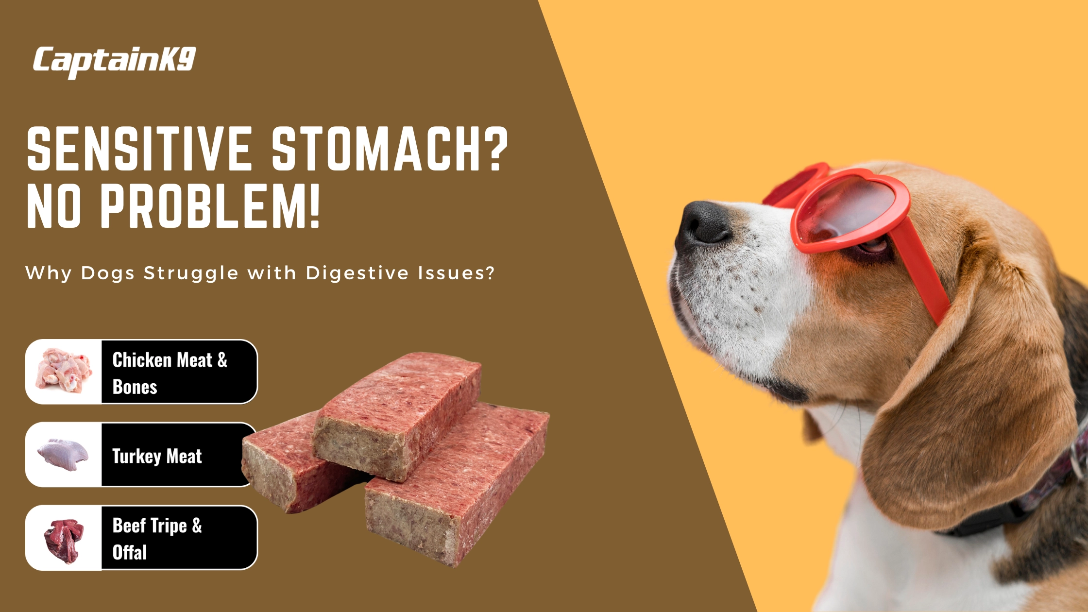 Home 21 Goodbye Sensitive Stomach, Hello Healthy Digestion for Dogs